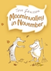 Image for Moominvalley in November