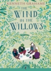 Image for The wind in the willows