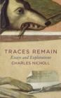Image for Traces remain: essays and explorations