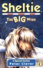 Image for The big wish
