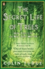Image for The secret life of trees: how they live and why they matter