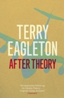 Image for After theory
