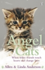 Image for Angel cats: when feline friends touch hearts and change lives
