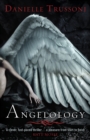 Image for Angelology
