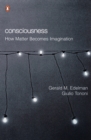 Image for Consciousness: how matter becomes imagination