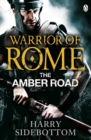 Image for The Amber Road