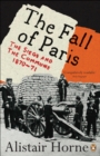 Image for The fall of Paris: the siege and the Commune 1870-71