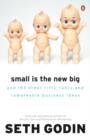 Image for Small Is the New Big: And 183 Other Riffs, Rants, and Remarkable Business Ideas