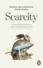 Image for Scarcity: the true cost of not having enough