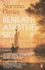 Image for Beneath another sky  : a global journey into history