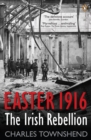 Image for Easter 1916  : the Irish rebellion
