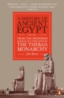Image for A history of Ancient EgyptVolume 3,: From the Shepherd Kings to the end of the Theban monarchy