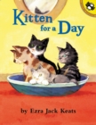 Image for Kitten for a Day