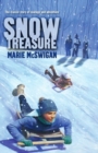 Image for Snow Treasure