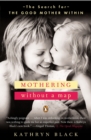 Image for Mothering Without a Map : The Search for the Good Mother Within