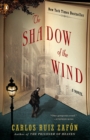 Image for The Shadow of the Wind