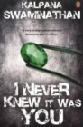 Image for I Never Knew It Was You