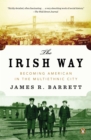 Image for The Irish way  : becoming American in the multiethnic city
