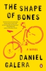 Image for The shape of bones  : a novel