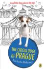 Image for Circus Dogs of Prague