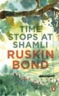 Image for Time Stops at Shamli and Other Stories