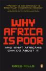 Image for Why Africa is poor and what Africans can do about it