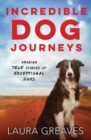 Image for Incredible Dog Journeys : Amazing true stories of exceptional dogs