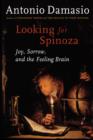 Image for LOOKING FOR SPINOZA