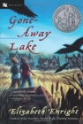 Image for Gone-Away Lake