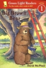 Image for Big Brown Bear