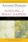 Image for The Feeling Of What Happens : Body and Emotion in the Making of Consciousness