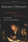 Image for Looking For Spinoza : Joy, Sorrow, and the Feeling Brain