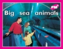 Image for Big sea animals