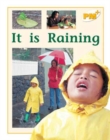 Image for It is Raining