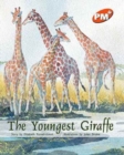 Image for The Youngest Giraffe