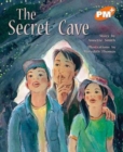 Image for The Secret Cave