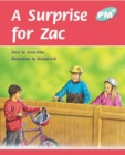 Image for A Surprise for Zac