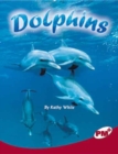 Image for Dolphins