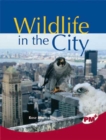 Image for Wildlife in the City