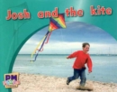 Image for Josh and the kite