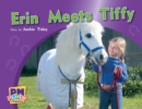 Image for Erin Meets Tiffy