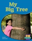 Image for My Big Tree