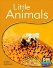 Image for Little Animals