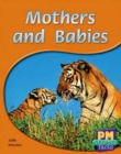 Image for Mothers and Babies