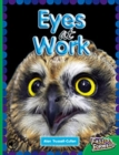 Image for Eyes at Work