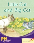 Image for Little Cat and Big Cat