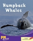 Image for Humpback Whales
