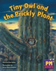 Image for Tiny Owl and Prickly Plant