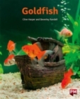 Image for PM ORANGE  GOLDFISH N FIC LEV16