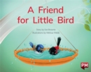 Image for FRIEND FOR LITTLE BIRD